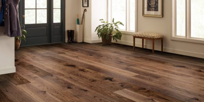 dark wood flooring in entry way with bench and plant.